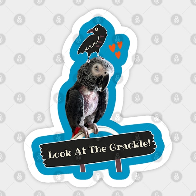 Einstein Parrot Look at the Grackle! Sticker by Einstein Parrot